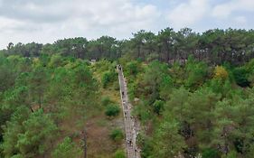 Landal Berger Duinen
